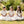 communion headband, communion headband Ireland, communion headbands Ireland, First Holy Communion headband, First Communion headband, girls communion headband, communion hairband, communion hair accessories, communion hair accessories Ireland, communion headpiece, communion headpiece Ireland, communion headpieces for girls, white communion headband, ivory communion headband, pearl communion headband, flower communion headband, floral communion headband, communion bow headband, handmade communion headband, 