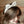 Juliette Headband