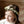 Rose White Flower Crown