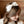 communion headband, communion headband Ireland, communion headbands Ireland, First Holy Communion headband, First Communion headband, girls communion headband, communion hairband, communion hair accessories, communion hair accessories Ireland, communion headpiece, communion headpiece Ireland, communion headpieces for girls, white communion headband, ivory communion headband, pearl communion headband, flower communion headband, floral communion headband, communion bow headband, handmade communion headband, h