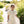 Victoria Headband