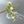 Ivy Flower Crown