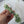 Wild rose and greenery Flower Crown